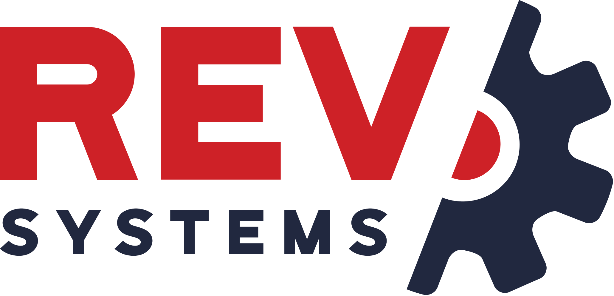 RevSystems, Inc